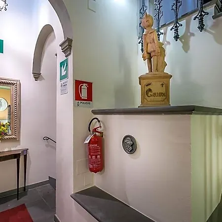 Collodi 2*