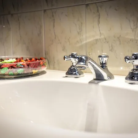 Collodi פירנצה